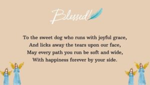 Beautiful Pet Blessings for Dogs and Cats