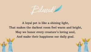 Heartfelt Pet Blessings Quotes for Animal Lovers