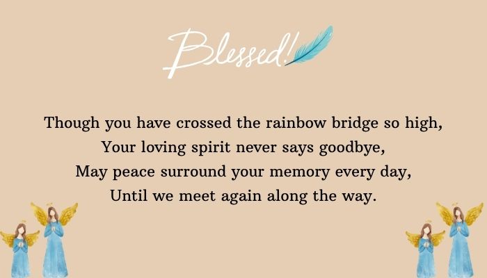 Memorial Pet Blessings for Remembering Faithful Companions