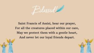 Saint Francis and Catholic Pet Blessings Traditions