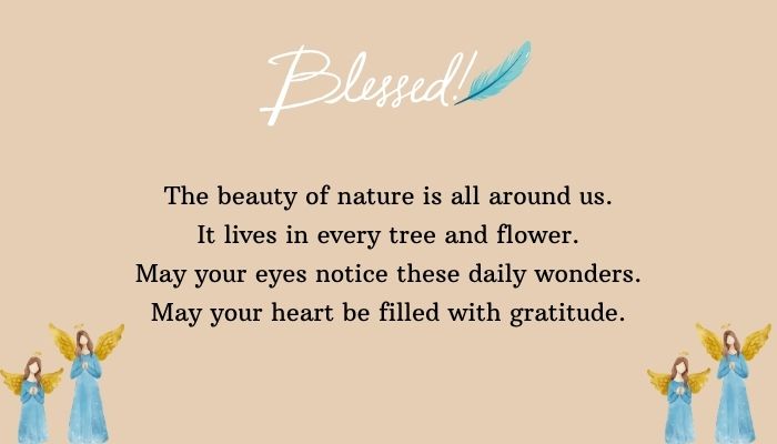 The Beauty of Nature Blessings and Daily Inspiration